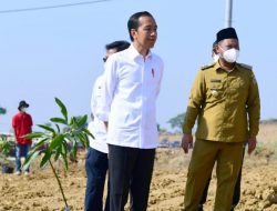 Lewat _Food Estate_ Bupati Fandi Akhmad Yani Optimis Gresik Jadi Sentra Mangga Kualitas Unggulan