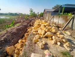 Pakai Batu Gunung, Proyek Jenis JUT di Desa Metatu Gresik Diduga Melenceng dari RAB. 