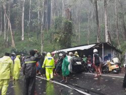 Hujan Deras dan Angin Kencang Guyur Jombang, Sebuah Pohon Tumbang Timpa Warung. 