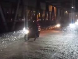 Jutaan Kupu-kupu “Serang” Jembatan Mojokerto, Banyak Pengendara Terjatuh. 