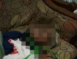 MANTAN KADES DI LAMONGAN GANTUNG DIRI DI POHON SUKUN