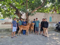 3 Orang Terduga Maling Sapi Diamankan Saat Subuh di Probolinggo