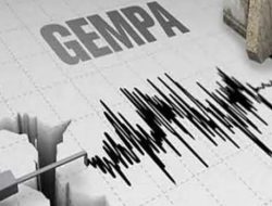 Papua Diguncang Gempa, Presiden Jokowi Tidak Merasakan Saat Makan Siang di Jayapura