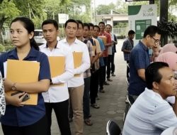 Disnaker Buka Walk Interview Serentak untuk 50 Lebih Lowongan di 5 Perusahaan, Syarat Utama: KTP Gresik