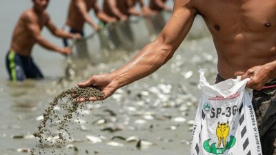 Gresik Dukung Penuh Subsidi Pupuk SP-36 untuk Pacu Produksi Tambak Bandeng