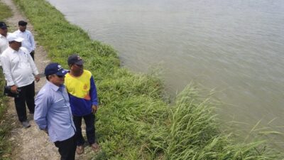 Hujan Ekstrem 2026 Ancam Jebolnya Tanggul Lumpur Lapindo: Menteri LH Turun Tangan Langsung