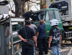 Truk Kontainer Oleng dan Tabrak Pohon di Jembatan Kali Greges, Jalur Margomulyo-Kalianak Sempat Lumpuh Total